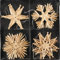 Strohsterne zum Hängen Mehrere Größen - Strohsterne Baumschmuck Christbaumschmuck (20 Strohsterne 6 cm)