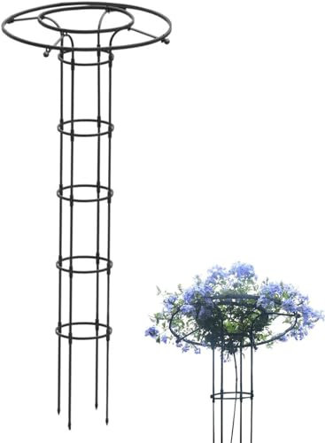 Obélisque de Jardin,Arche Rosiers Pergola,Support Tuteur Métal Colonne pour Plantes Grimpantes Obélisque de Jardin Treillis Grimper Légumes & Fleurs et Fruits (Color : Black, Size : 180cm/70.9in)