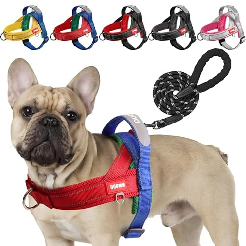 LiebeDD Arnes Perro con Correa, Forma de Y Easy Walk Arnes Antitirones Perros Cómodo Transpirable Arnés Perro para Mediano y Pequeño, Peitoral para Cão Dog Harness, Azul-Rojo, S