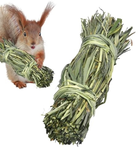 - masticable para dientes de conejo, bola de hierba de hámster | Snacks para crujir los dientes del conejo para mantener los limpios para hámsters, cobayas, conejos, ardillas y chinchilla