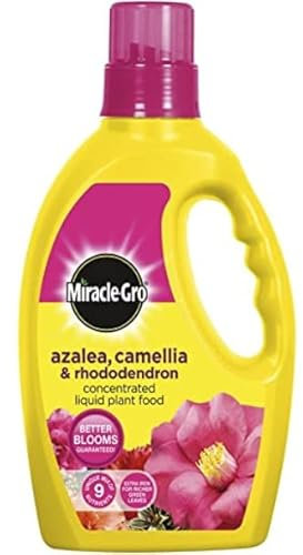 5 X Miracle-Gro Azalea, Camellia and Rhododendron Liquid Plant Food Bottle, 1 L