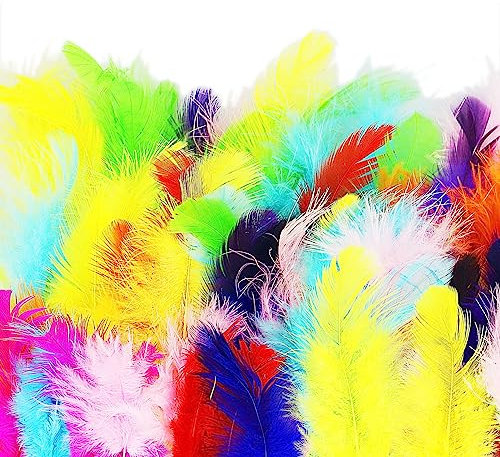HXMJIED 100 Stück Gänsefedern, bunte Federn, Federn zum Basteln, Bastelfedern, auffällige Federn, für DIY-Dekorationen, Hut, Kostüm