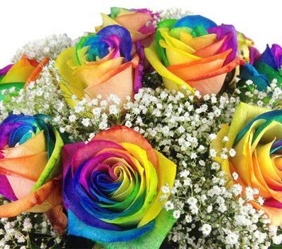 Bunter Blumenstrauß mit 7 Regenbogenrosen und Eukalyptus Zweigen - Inklusive Grußkarte