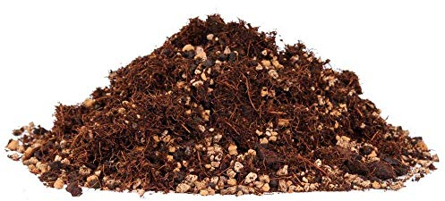 Bonsai-Erde 4 Liter - mit feinem Kokos-Substrat, für Laubbäume 62020