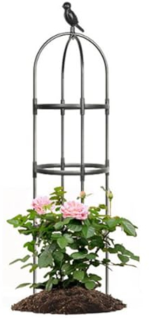 Rankhilfe Obelisk, Metall Rankhilfe Rankobelisk, 180cm Großes Pflanzen Rankhilfe, Witterungsbeständige Rosen Spalier, rankhilfen für kletterpflanzen, Einfach Zu Montieren (42x205cm)