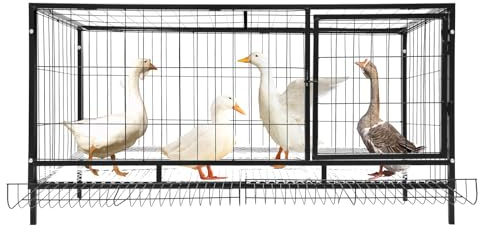 Gallinero, 120 x 58 x 62 cm, jaula para animales pequeños con función de recogida de huevos, gallinas, patos, codornices, conejos, gatos, perros