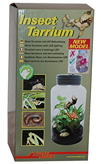 Lucky Reptile Insect Tarrium Nanoterrarium