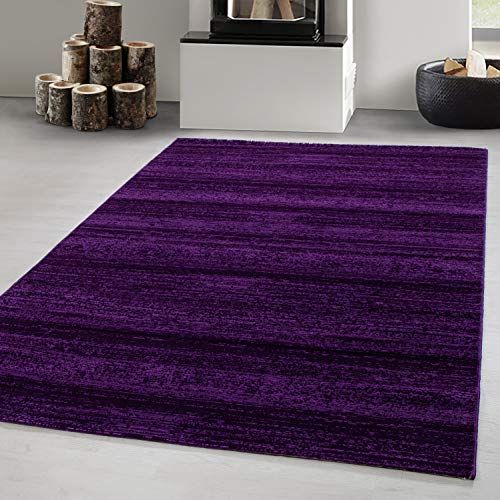 Carpetsale24 Teppich Wohnzimmer Unicolor - Einfarbig Lila Meliert 120 x 170 cm - Kurzflor Teppich Schlafzimmer Pflegeleicht und Extra Weich - Teppich für Küche Esszimmer Kinderzimmer Rechteckig