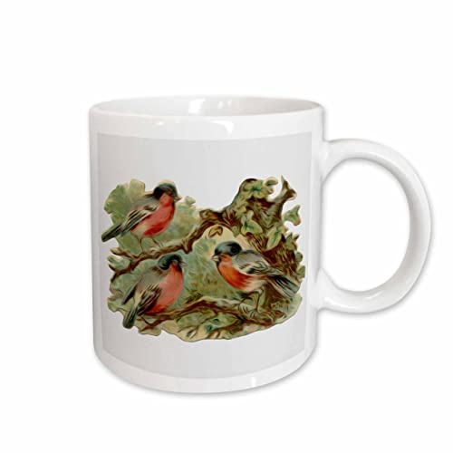 3dRose Vintage Victorian Bird Illustration Three Red Robins In A Tree Ceramic Mug, 15 oz, White