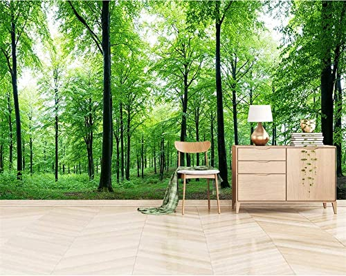 3D-Wandtapete Für Mädchen-Schlafzimmer Landschaft Und Pflanzen Grüner Urwald Tapete Wandbild 3D Abziehen Und Aufkleben Selbstklebender Wandaufkleber Kinderzimmer Jungenzimmer Dekorieren Wandtapete We