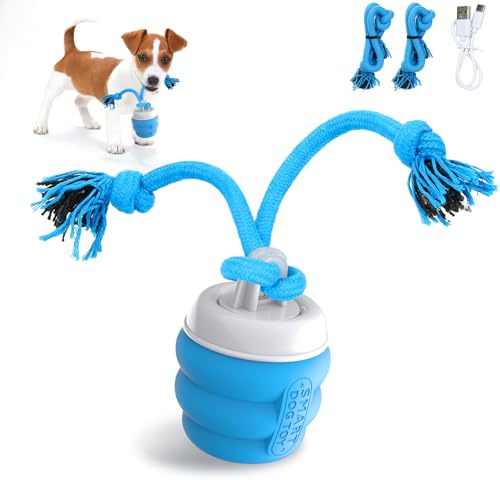 Jouet pour Chien Interactif, Balle pour Chien-Intelligent Rechargeable, Jouet pour Chiot Occupation, Soulage l'ennui et le Stress, Convient aux Petits et moyens Chiens, Jouet Cadeau de Noël (Bleu)
