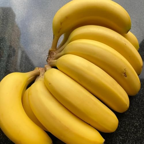 semillas de plátano resistentes de plátano, balcón, plátanos de plátano, resistentes al exterior 15pcs