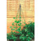 Haxnicks Garden Maypole | Easy To Store Plant Support | Climbing Plants | Garden Tepee | Growing Sweet Peas Beans | Black, 100 x 100 x 190 cm | Frame010101