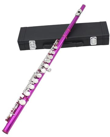 Vuxen Flöjtinstrument 16 Stängda Öppna Hål C Flöjt Träblåsinstrument Konsertproffs Med E-nyckel(Rose Red)