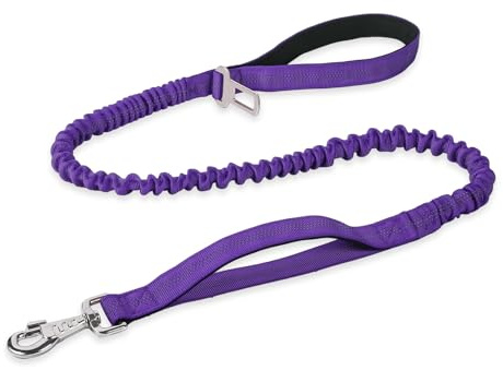 BUMBIN 6Ft Dog Leash - Large Dogs, Bungee Leash with 2 Handles, Heavy Duty, No Pull Shock Absorbing, Purple
