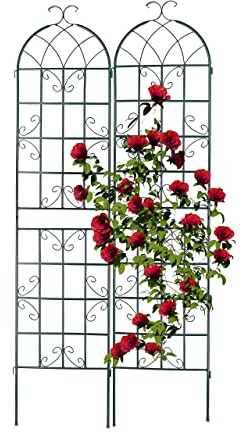 Relaxdays Grigliati per Rampicanti, Set da 2, HxL 220 x 50 cm, Supporti in Metallo per Piante Tralicci a Incastro, Verde, Ferro