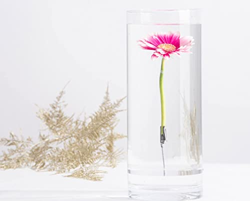 Esschert Design Unterwasserblumenvase M AGG81, Glasvase