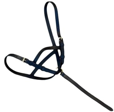 Horse Leather Foal Slip Headcollar with Solid Brass Fitting S-M-L Black Brown (Black, Large)