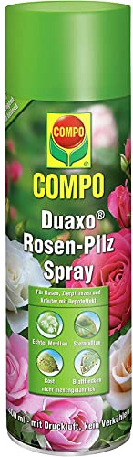 Compo Duaxo Rosen-Pilz Spray, Bekämpfung von Pilzkrankheiten an Rosen, Zierpflanzen und Kräutern, Anwendungsfertig, 400 ml