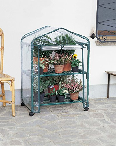 VERDEMAX cm 70 x 50 x 98 AZALEA Gewächshaus mit 2 Regalen und Rädern (Deckblatt INKLUSIVE)