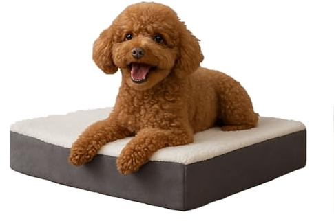 Orthopedic Dog Bed - 2-Layer Memory Foam Crate Mat with Machine Washable Sherpa Cover - 20x15 Pet Bed for Small Dogs Up to 20lbs by PETMAKER (Gray)