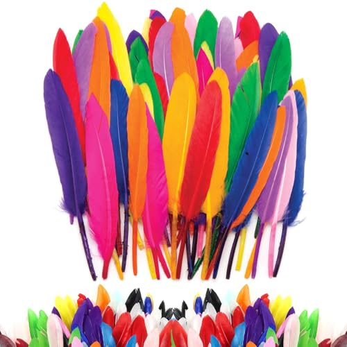100 Pcs Feathers for Crafting, Feathers, Craft Feathers, Coloured Feathers, Colorful Craft Feather in Bright Colors, Feather Decoration Crafts for DIY Dream Catcher Hat Vase Mask