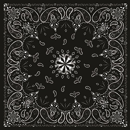 Zanheadgear B001 Premium Bandanna, 100% Cotton, Black Paisley 12 x 6 x 1.9 Inch