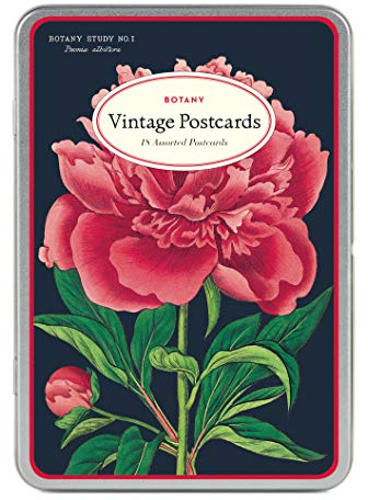 Cavallini & Co. Botany Vintage Style Postcard Set, Assorted