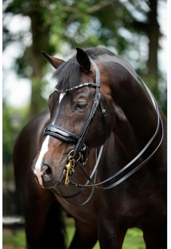 Hb Kandare Showtime Special for You Schwarz-Blau - Full/WB