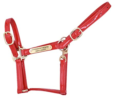 Sport Tent Halfter für Pferde Weidehalfter Stallhalfter Verstellbares Leder PU Pferdehalfter mit Kinn und Schnappverschluss M, Rot