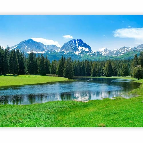 murando Fotomurales autoadhesivo Montana 294x231 cm Papel Pintado Decoración de Pared Murales Pegatina decorativos adhesivos 3d moderna de Diseño Fotográfico 100403-127