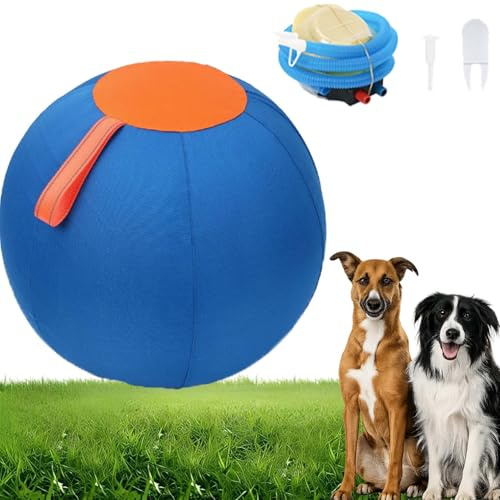 DZ'HUE Balle GéAnte pour Chien, Ballon pour Chien Increvable, Grosse Balle pour Chien, Energiegeladene Rassen, Die Mehr ALS Nur Einen Spaziergang Brauchen (Blau-Orange,S-45 cm)