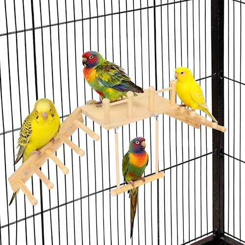 Axincardarm Parrot Stand Wooden Bird Playground with Climbing Ladder and Swing, Wood Bird Exercise Gym Toys for Pet Budgie, Finches, Parakeets, 35.5 x 23 x 49cm