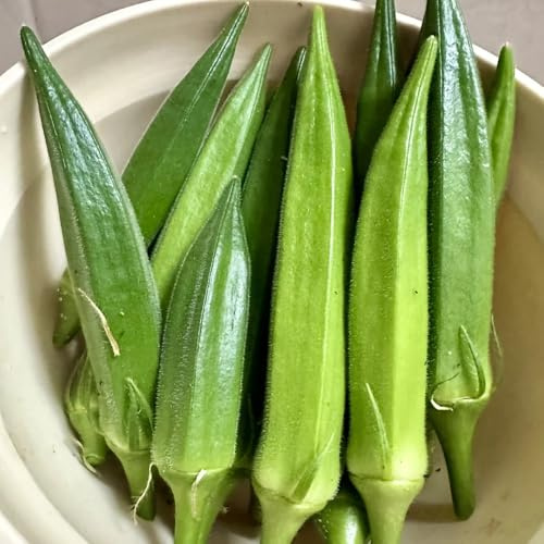 semillas de okra orgánicas de jardín okra invierno, resistentes para, orgánicas camas elevadas para jardín 250pcs