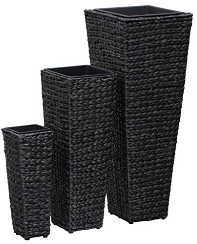 Sophrelle Conjunto de arriates 3 Piezas Jacinto de Agua Negro Negro,45570