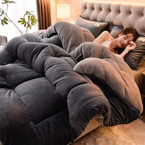 TUCVZVO Bettdecke,Winter Steppdecke Dicker Lamm-Kaschmir,Flauschige Steppdecken Für Allergiker Duvet, Verdicken Sie Lamm Kaschmir Decke Weiche Warme Bettdecke,220X240cm(5KG)