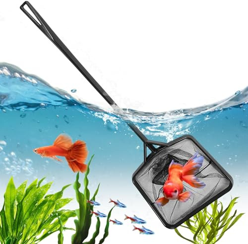fayarrd Guadino per acquario | Guadino portatile per piscine per pesci da estrazione e pulizia - Comoda impugnatura per la cattura di piccoli pesci