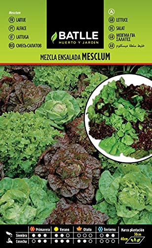 Semillas Batlle Laitue pommée Mesclun