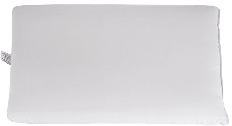 Homescapes – Cuscino in piume e piumino d' oca 48 x 74 cm, arricchito all' Aloe Vera
