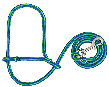 Weaver Leather Livestock Poly Rope Sheep Halter with Snap, Lime/Hurricane Blue/Royal Blue, Average