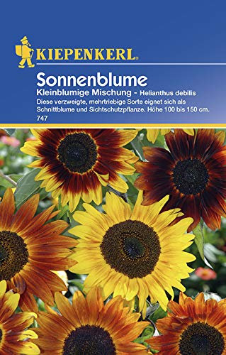Kiepenkerl 747 Sonnenblume Kleinblumige Mischung (Sonnenblumensamen)