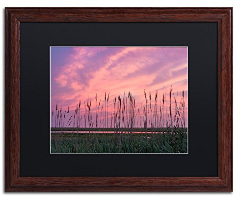 Marsh Reeds by Michael Blanchette Photography, Black Matte, Wood Frame Original Artwork, 16x20