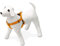 Karlie Art Sportiv Plus Geschirr 1-2-3 Step and Go neue universal Farben Mix and Match B: 10 mm Br um: 20 - 35 cm XS orange