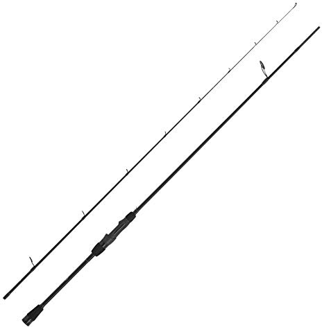 WFT Penzill Black Spear Drop Shot 2,40m 3-30 g