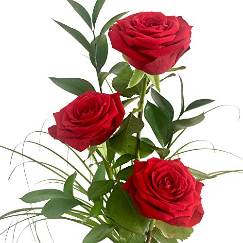 3 rote Rosen - XXL-Blüte - Rosenstrauß mit Rosen, Ruskus und Gräsern - Blumen inklusive gratis Vase und Grußkarte