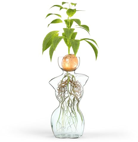 Elegant Female Silhouette Glass Vase by HMC for Plant Propagation and Flower Arrangements - Perfect for Seed Starting, Water Rooting, and Home Decor - Ideal for Avocado, Bulbs, and Plant Cuttings