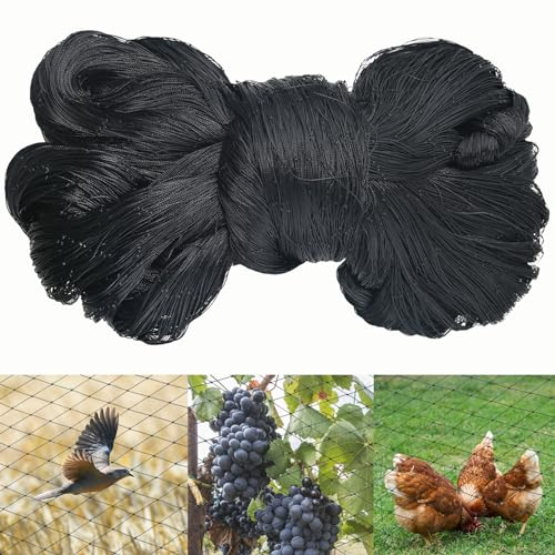 LINSOCLE Filet Anti-Oiseaux Noir 10m X 10m - Robuste Protection pour Volière, Poulailler, Potager et Fruits