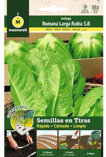 Mascarell Semillas, LECHUGA ROMANA HORTELANA, Cultiva Fácil, Crea tu Propio Huerto en Casa, Tira 5 Metros