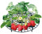 UPP Erdbeerreifer & Fruchtreifer | Einstellbare Erdbeerstützen für Erdbeeren, Salat, Tomaten, Pflanzen, Gemüse, Blumen | Schneckenschutz/Schutz vor Fäulnis und Schimmel | Kunstsoff | grün | 10er-Set