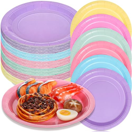 Pasimy 120 Pcs Pastel Paper Plates 9 Inch Easter Dinner Plates Bulk Disposable Rainbow Party Dessert Supplies Round Color Paper Dish for Spring Easter Birthday Rainbow Party Supplies (Pastel)